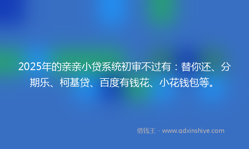 2025年的亲亲小贷系统初审不过有：替你还、分期乐、柯基贷、百度有钱花、小花钱包等。