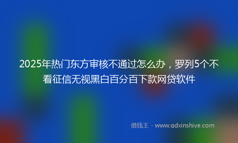 2025年热门东方审核不通过怎么办，罗列5个不看征信无视黑白百分百下款网贷软件