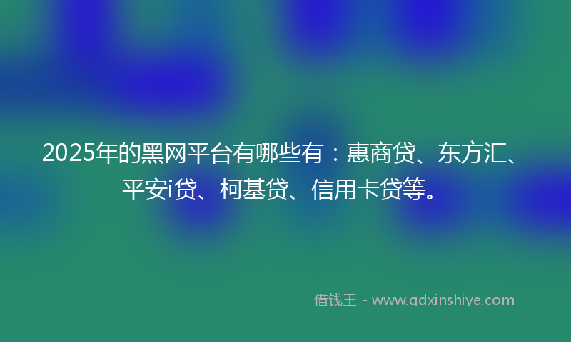 2025年的黑网平台有哪些有：惠商贷、东方汇、平安i贷、柯基贷、信用卡贷等。