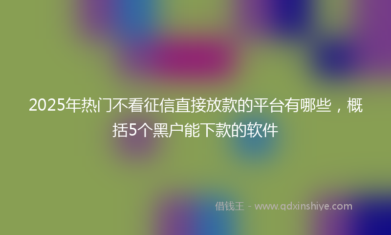 2025年热门不看征信直接放款的平台有哪些，概括5个黑户能下款的软件