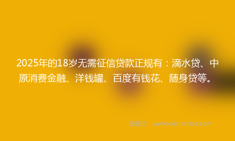 2025年的18岁无需征信贷款正规有：滴水贷、中原消费金融、洋钱罐、百度有钱花、随身贷等。