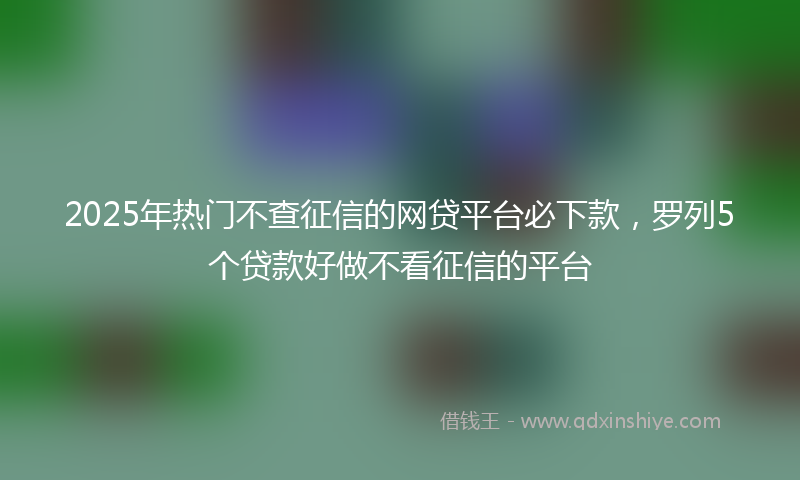 2025年热门不查征信的网贷平台必下款，罗列5个贷款好做不看征信的平台