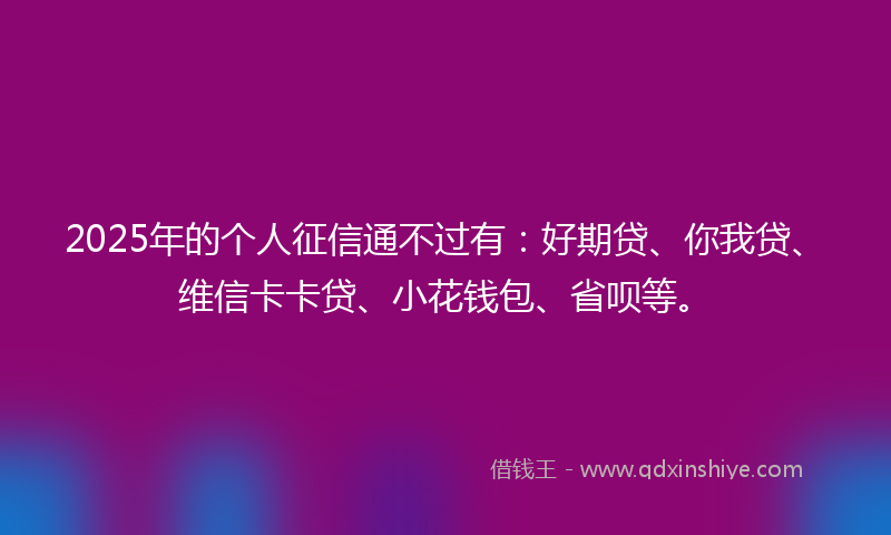 2025年的个人征信通不过有：好期贷、你我贷、维信卡卡贷、小花钱包、省呗等。