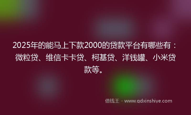 2025年的能马上下款2000的贷款平台有哪些有：微粒贷、维信卡卡贷、柯基贷、洋钱罐、小米贷款等。