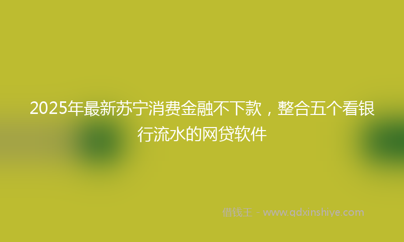 2025年最新苏宁消费金融不下款，整合五个看银行流水的网贷软件
