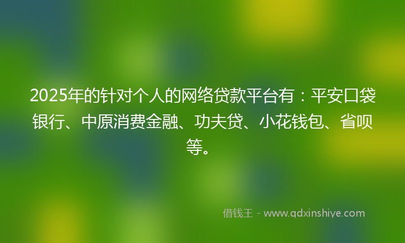 2025年的针对个人的网络贷款平台有：平安口袋银行、中原消费金融、功夫贷、小花钱包、省呗等。