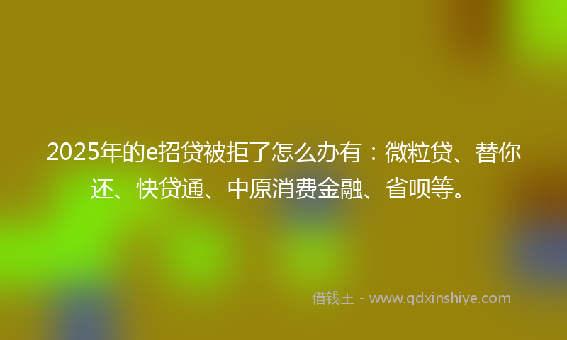 2025年的e招贷被拒了怎么办有：微粒贷、替你还、快贷通、中原消费金融、省呗等。