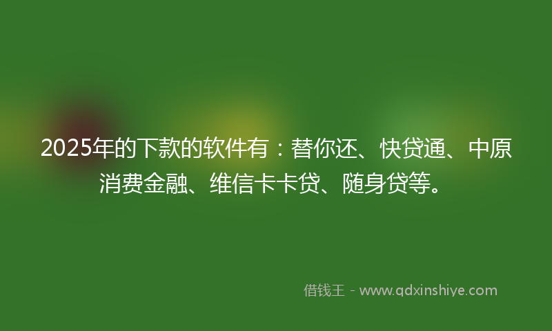 2025年的下款的软件有：替你还、快贷通、中原消费金融、维信卡卡贷、随身贷等。