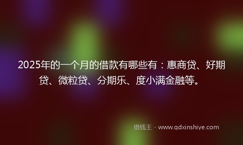 2025年的一个月的借款有哪些有：惠商贷、好期贷、微粒贷、分期乐、度小满金融等。