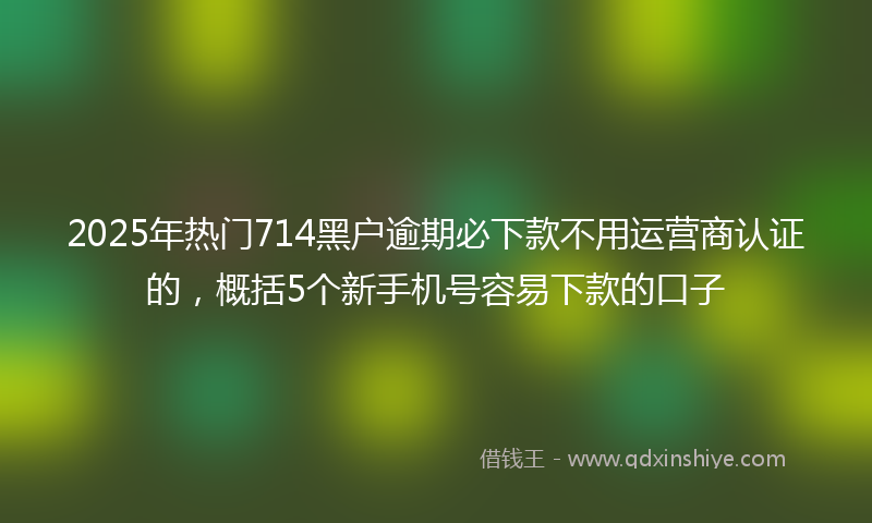 2025年热门714黑户逾期必下款不用运营商认证的，概括5个新手机号容易下款的口子