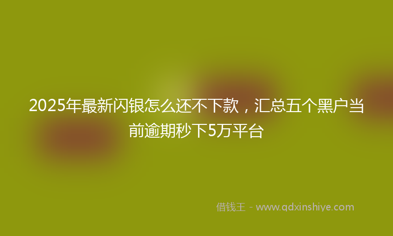2025年最新闪银怎么还不下款，汇总五个黑户当前逾期秒下5万平台