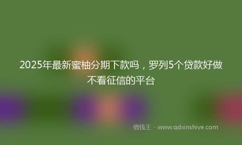 2025年最新蜜柚分期下款吗，罗列5个贷款好做不看征信的平台
