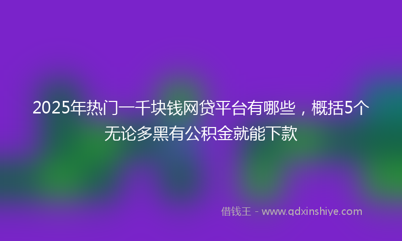 2025年热门一千块钱网贷平台有哪些，概括5个无论多黑有公积金就能下款