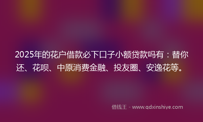 2025年的花户借款必下口子小额贷款吗有：替你还、花呗、中原消费金融、投友圈、安逸花等。