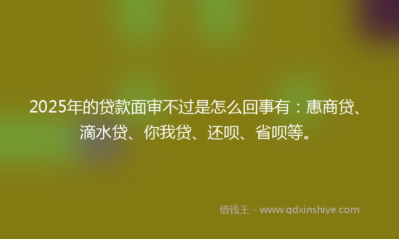 2025年的贷款面审不过是怎么回事有：惠商贷、滴水贷、你我贷、还呗、省呗等。