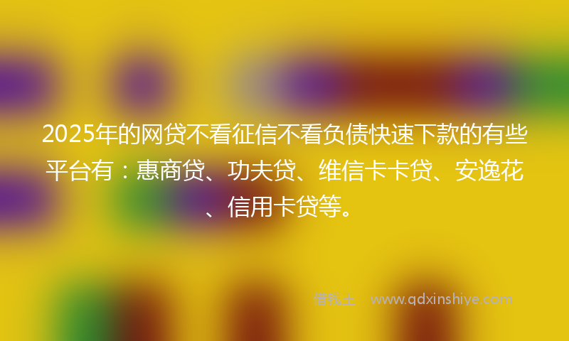 2025年的网贷不看征信不看负债快速下款的有些平台有：惠商贷、功夫贷、维信卡卡贷、安逸花、信用卡贷等。