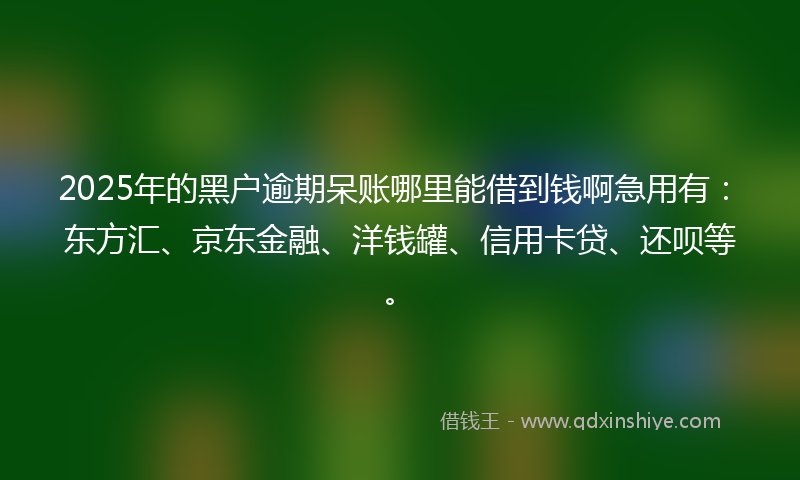 2025年的黑户逾期呆账哪里能借到钱啊急用有：东方汇、京东金融、洋钱罐、信用卡贷、还呗等。
