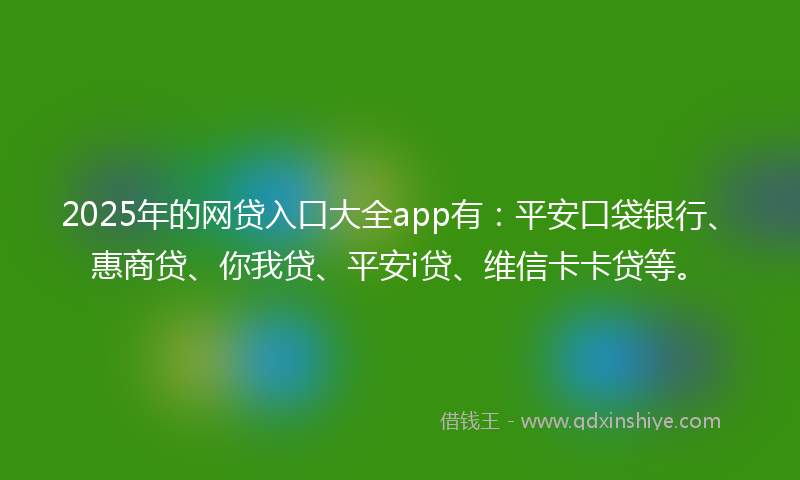2025年的网贷入口大全app有：平安口袋银行、惠商贷、你我贷、平安i贷、维信卡卡贷等。