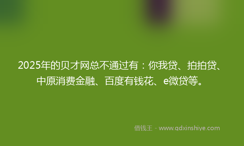 2025年的贝才网总不通过有：你我贷、拍拍贷、中原消费金融、百度有钱花、e微贷等。