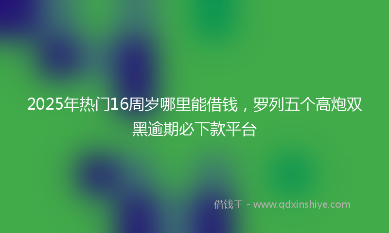 2025年热门16周岁哪里能借钱，罗列五个高炮双黑逾期必下款平台