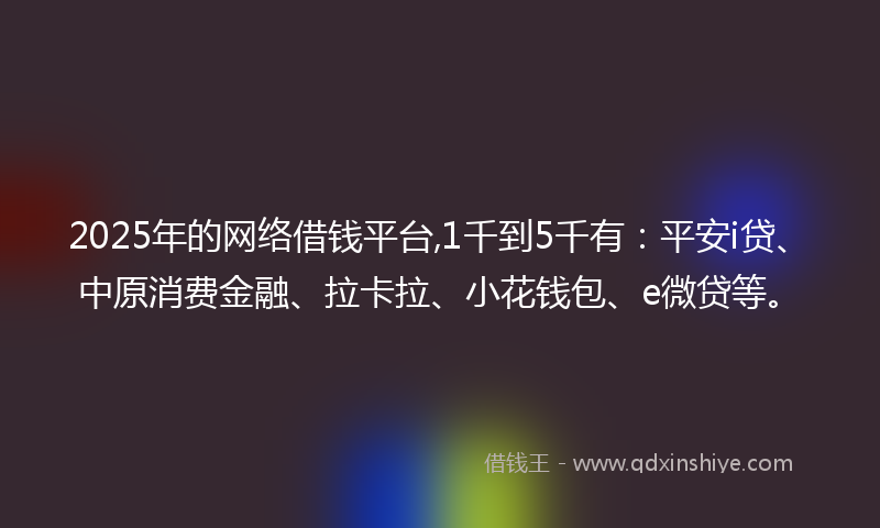 2025年的网络借钱平台,1千到5千有：平安i贷、中原消费金融、拉卡拉、小花钱包、e微贷等。