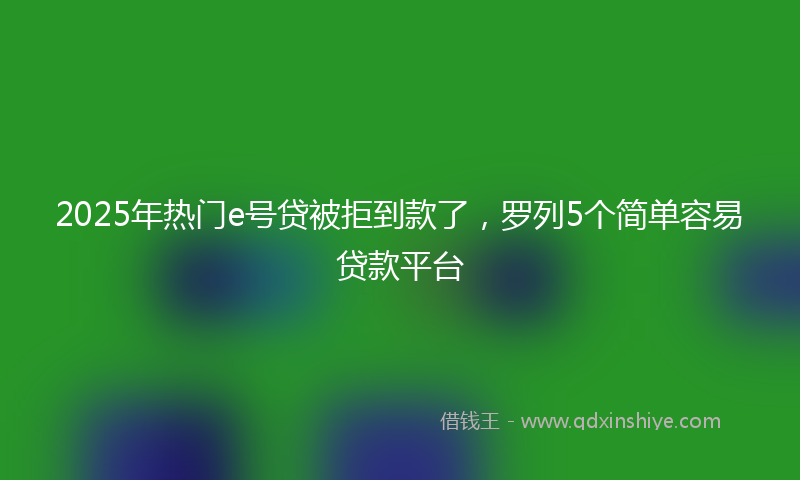 2025年热门e号贷被拒到款了，罗列5个简单容易贷款平台