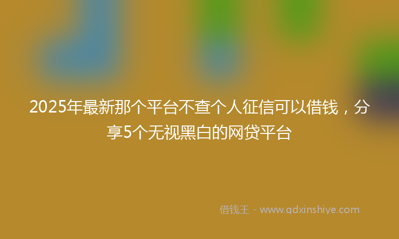 2025年最新那个平台不查个人征信可以借钱，分享5个无视黑白的网贷平台