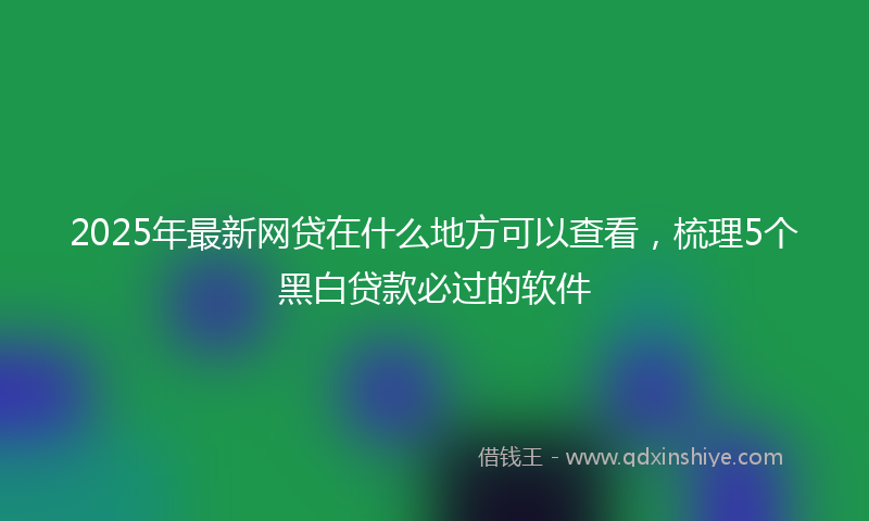 2025年最新网贷在什么地方可以查看，梳理5个黑白贷款必过的软件