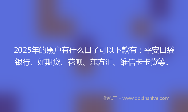 2025年的黑户有什么口子可以下款有：平安口袋银行、好期贷、花呗、东方汇、维信卡卡贷等。