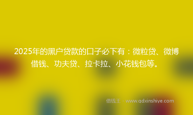2025年的黑户贷款的口子必下有：微粒贷、微博借钱、功夫贷、拉卡拉、小花钱包等。