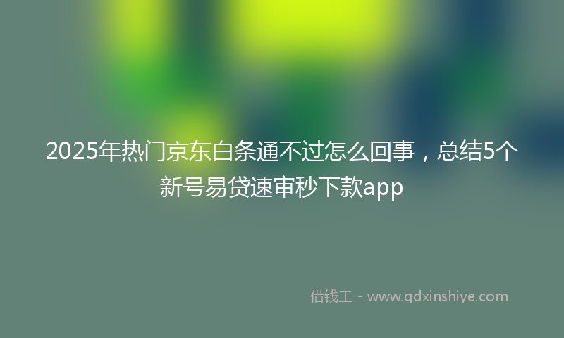 2025年热门京东白条通不过怎么回事，总结5个新号易贷速审秒下款app