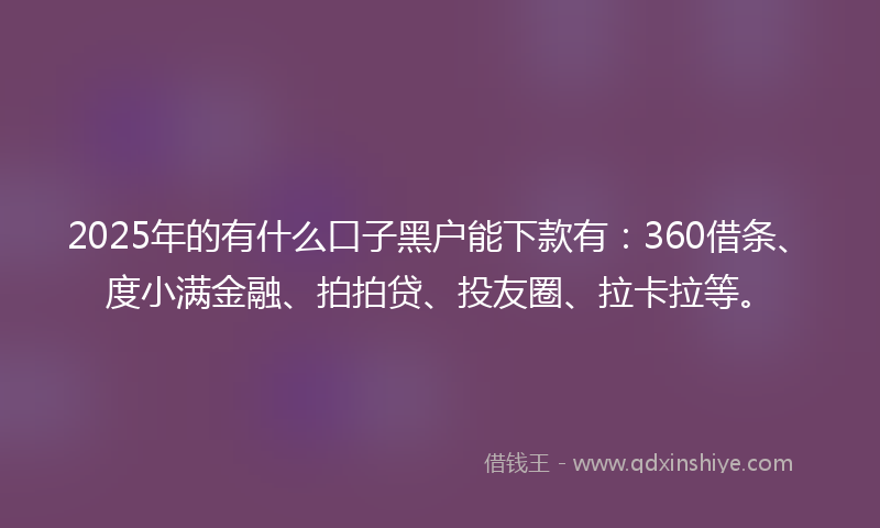 2025年的有什么口子黑户能下款有：360借条、度小满金融、拍拍贷、投友圈、拉卡拉等。