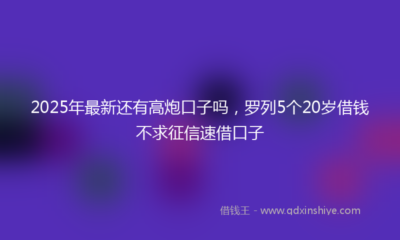 2025年最新还有高炮口子吗，罗列5个20岁借钱不求征信速借口子