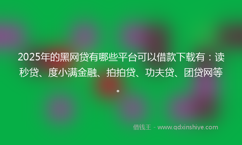 2025年的黑网贷有哪些平台可以借款下载有：读秒贷、度小满金融、拍拍贷、功夫贷、团贷网等。