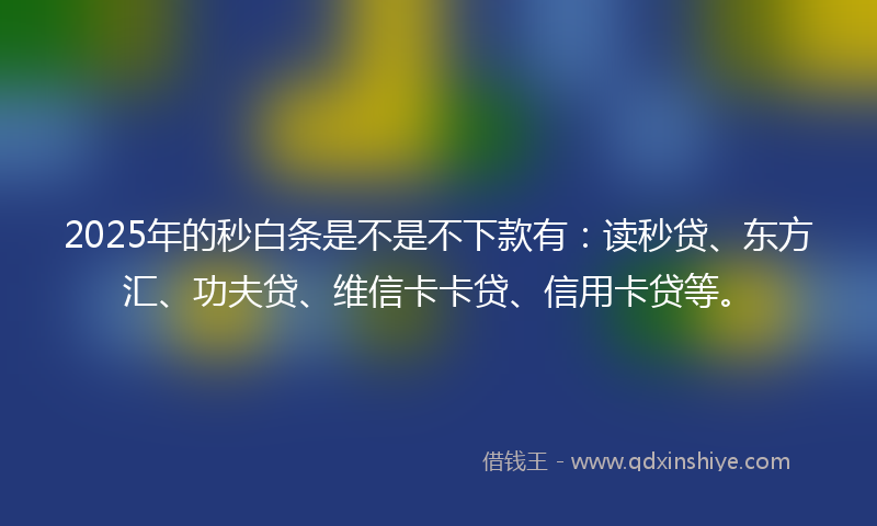 2025年的秒白条是不是不下款有：读秒贷、东方汇、功夫贷、维信卡卡贷、信用卡贷等。