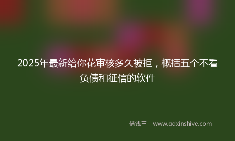 2025年最新给你花审核多久被拒，概括五个不看负债和征信的软件