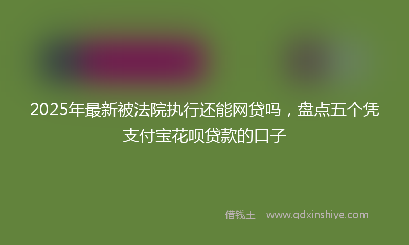 2025年最新被法院执行还能网贷吗，盘点五个凭支付宝花呗贷款的口子