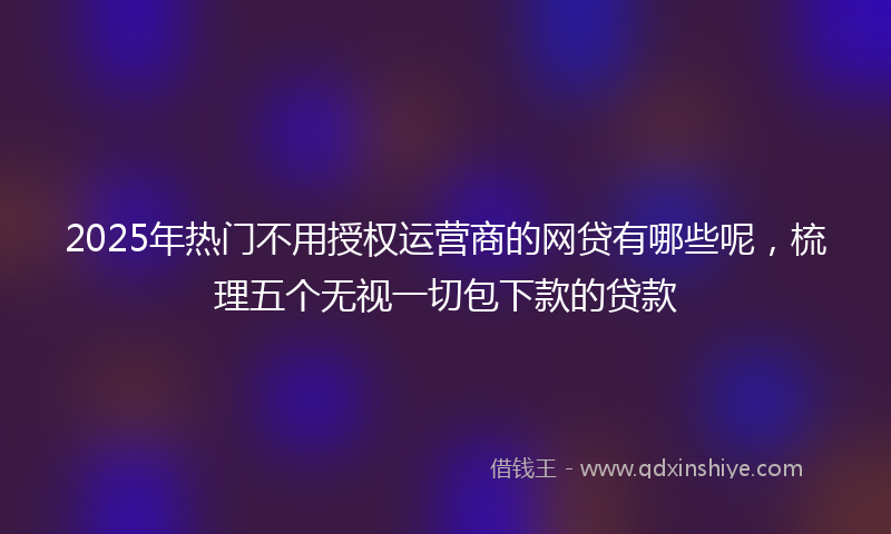 2025年热门不用授权运营商的网贷有哪些呢，梳理五个无视一切包下款的贷款
