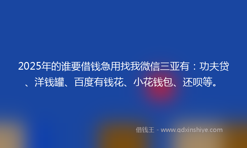 2025年的谁要借钱急用找我微信三亚有：功夫贷、洋钱罐、百度有钱花、小花钱包、还呗等。