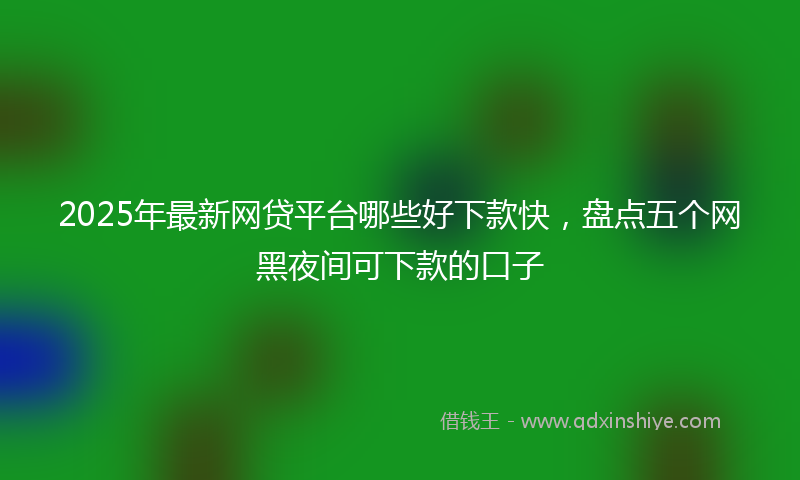 2025年最新网贷平台哪些好下款快，盘点五个网黑夜间可下款的口子