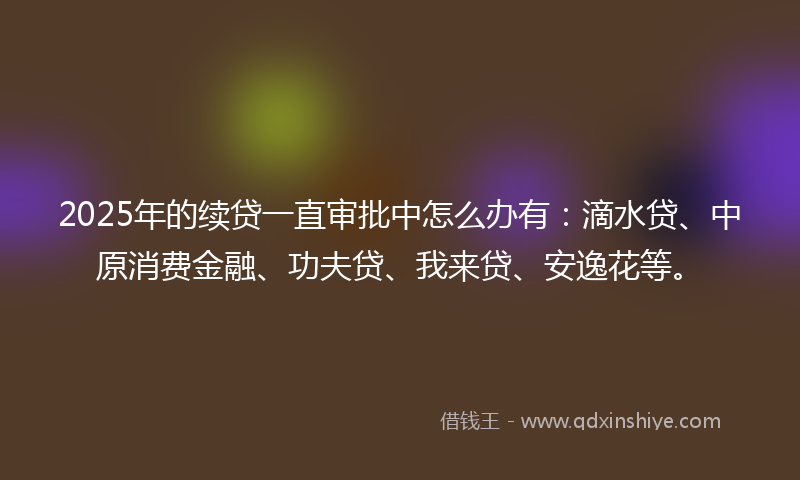 2025年的续贷一直审批中怎么办有：滴水贷、中原消费金融、功夫贷、我来贷、安逸花等。