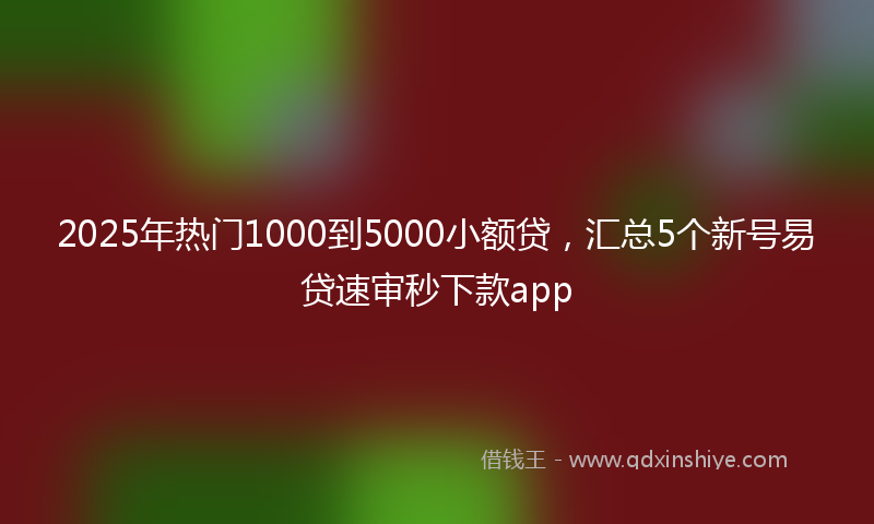 2025年热门1000到5000小额贷，汇总5个新号易贷速审秒下款app