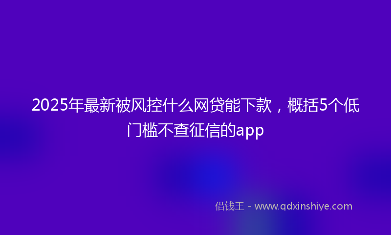 2025年最新被风控什么网贷能下款，概括5个低门槛不查征信的app
