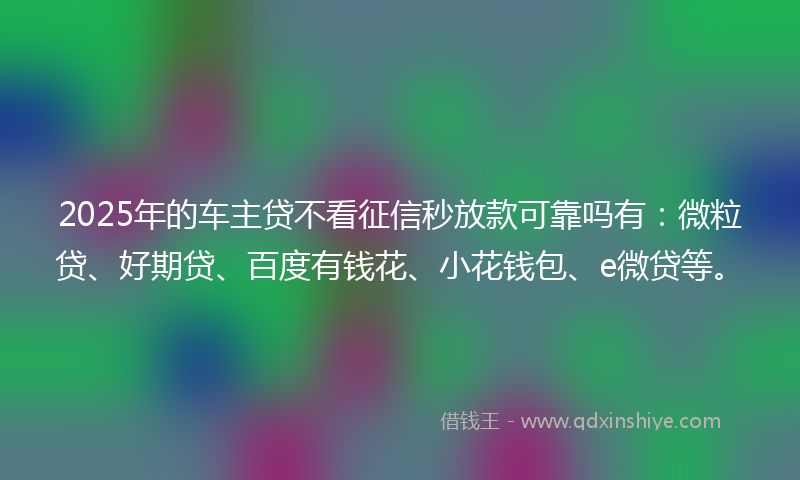 2025年的车主贷不看征信秒放款可靠吗有：微粒贷、好期贷、百度有钱花、小花钱包、e微贷等。