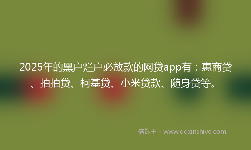 2025年的黑户烂户必放款的网贷app有：惠商贷、拍拍贷、柯基贷、小米贷款、随身贷等。