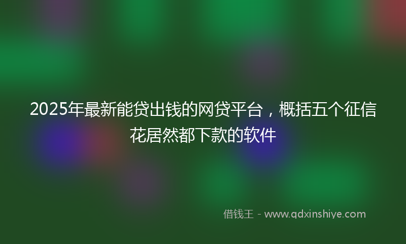 2025年最新能贷出钱的网贷平台，概括五个征信花居然都下款的软件