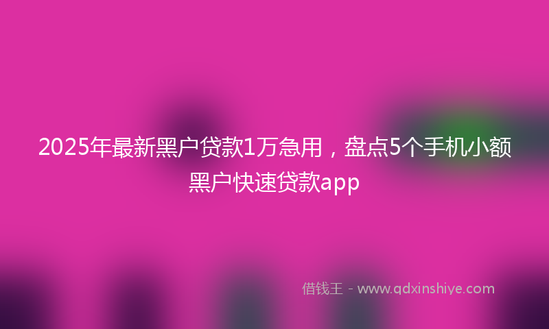2025年最新黑户贷款1万急用，盘点5个手机小额黑户快速贷款app