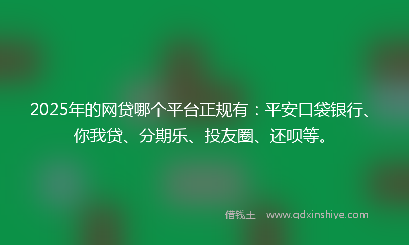 2025年的网贷哪个平台正规有：平安口袋银行、你我贷、分期乐、投友圈、还呗等。