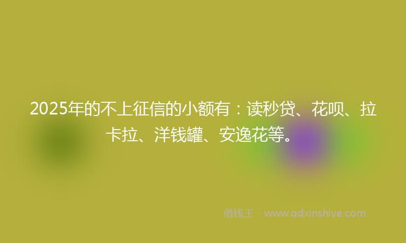 2025年的不上征信的小额有：读秒贷、花呗、拉卡拉、洋钱罐、安逸花等。