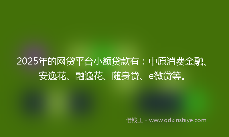 2025年的网贷平台小额贷款有：中原消费金融、安逸花、融逸花、随身贷、e微贷等。